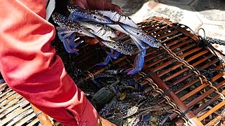 Cambodian Street Food - DELICIOUS LIVE BLUE CRABS in Kep Seafood Market