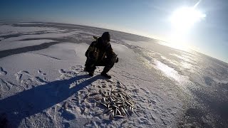Лучшая рыбалка на Корюшку Финский залив , Северный берег