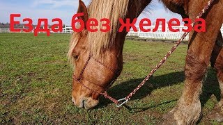Езда на верёвочном недоуздке без железа. Недоуздок+чумбур.
