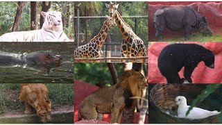 NEHRU ZOO HYDERABAD - FULL Coverage | zoo park | nehru zoological park