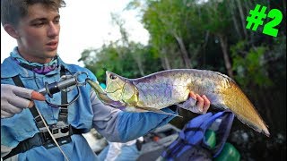 Catching The Prehistoric "DRAGON FISH"