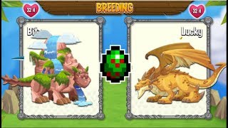 NEW BREEDING: Waterfall Dragon & War Dragon [EXCLUSIVE BREEDING]
