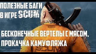 Полезные баги в игре SCUM|Бесконечные вертелы с мясом, прокачка камуфляжа