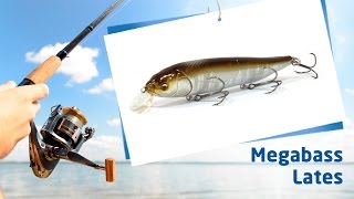 Воблеры Megabass Lates