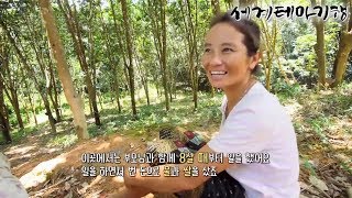 세계테마기행 - 동남아 소수민족 기행- 몽족의 낙원_#003