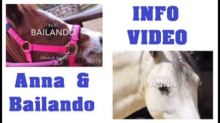 Infovideo BAILANDO & ANNA ♥ Ponyparkcity - het karakter van de pony's !!