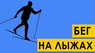 Техника классического бега на лыжах за 1,5 минуты