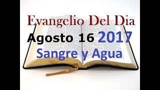 Evangelio del Dia- Miercoles 16 Agosto 2017- Habla Con Tu Hermano- Sangre y Agua