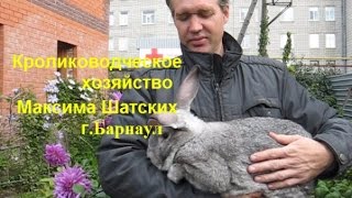 Кролики хозяйства Максима Шатских, Барнаул