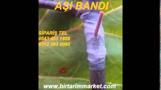 aşı bandı ve aşı macunu,aşılama bandı,aşı bağlama bandı,aşı bağlama bağı,asi bandi,asi bagi,şeffaf a