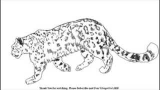How to Draw a Cheetah Big Cat | YZArts | YZArts