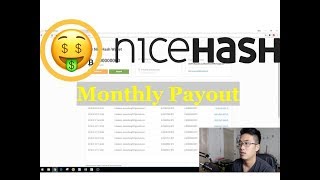How Much I Earned in a Month Through NiceHASH