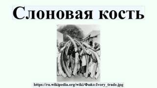 Слоновая кость