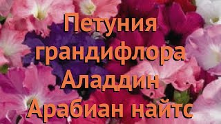 Петуния грандифлора Аладдин Арабиан найтс микс ? обзор: как сажать, семена петунии