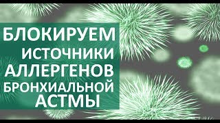Бронхиальная астма симптомы. ? Диагностика, симптомы и лечение бронхиальной астмы.  ЦЭЛТ.