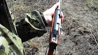 Весенняя охота на гуся с ружьём ТОЗ-106!