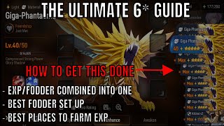 THE ULTIMATE 6* GUIDE, Best Places To Farm EXP, Best Fodder Set Up - Epic Seven