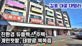 김포전원주택 김포시 대곶면 대명리 제2 소래포구 개발호재 복복층 [빌라팩트]