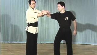Tai Chi, Тай чи Ч15 Xiao Chan Shou 2, дожим кисти