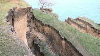 Оползень. Море съедает сушу. Деревья падают в обрыв. Рядом дома. Грибовка. Бугаз. Санжейка. Одесса.