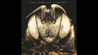 Kaly Live Dub - Pack Ice