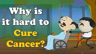 Why is it hard to Cure Cancer? | #aumsum