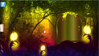 Enchanted Forest Escape Video Walkthrough