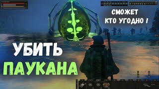STALKER ОНЛАЙН / Убить Паукана сможет кто-угодно! / СОВЕТ