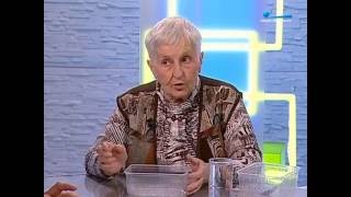 Огород без хлопот. Как сеять семена для рассады?