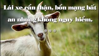 Tử vi 2018 tuổi tân mùi 1991 nam mạng