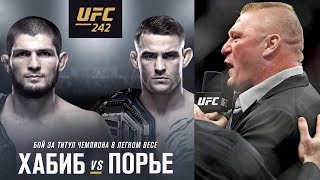 Стоимость билетов на бой Хабиба на UFC 242, почему Брок Леснар отказался выступать в UFC?
