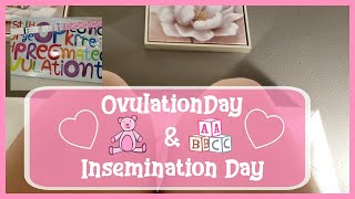 Ovulation day and insemination day | TTC Journey