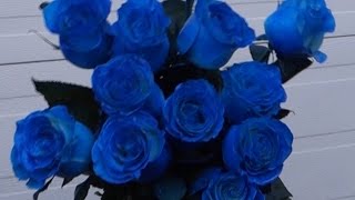 Как сделать  синие розы?