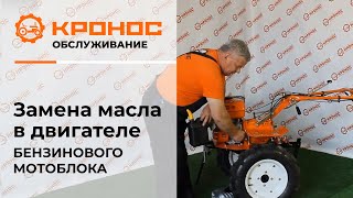 Замена масла в двигателе бензинового мотоблока (kronos5.by/kronos5.ru)