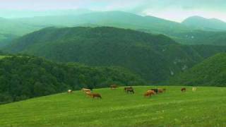 Дагестан 2009
