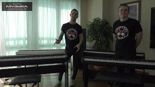 Обзор компактных цифровых пианино популярных брендов. Какое выбрать?