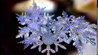 Футаж  Снежинки под микроскопом   Footage  Snowflakes under a microscope     000790