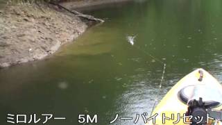 ミロルアー　5M　ノーバイトリセット もわ～っと