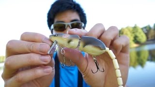 Bass Eat Mice??? Fishing in Florida with a Mouse Lure