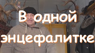 В одной энцефалитке