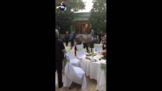 Подарок Салимбаю на день рождения