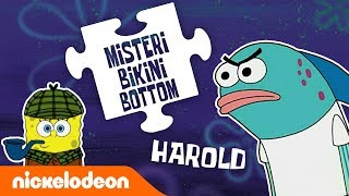 Misteri-Misteri Bikini Bottom | Ep. 3 | Apakah Harold sebuah Bom Waktu yang berdetak? ?