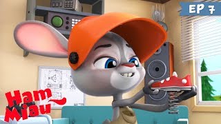 Ham Miau ? Adidasii vitezomani ? Desene animate dublate in romana | HeyKids