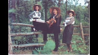 Трио Маренич Цветы луговые