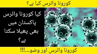 What is Coronavirus? | Urdu & Hindi