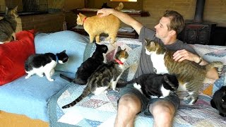 A Day at The Cat House on the Kings
