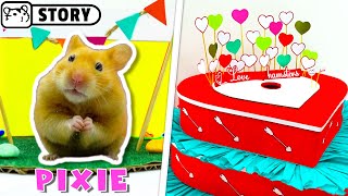 Heart Maze for Syrian Hamsters in Valentine's Day ? Valentines day Ideas for Animals