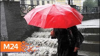 "Климат-контроль": дожди ожидают москвичей в выходные - Москва 24