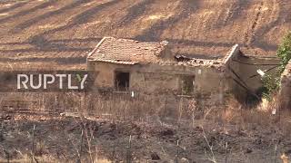 Italy: Wildfires bring devastation to farms near Palermo