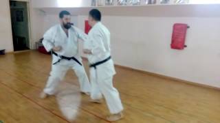 Yakusoku kumite Shito ryu